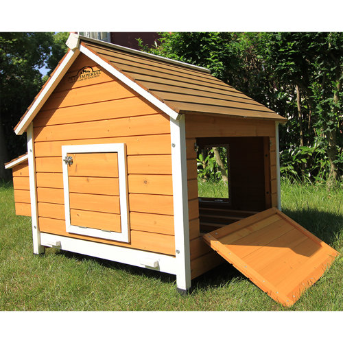 Pets Imperial® Chicken Coops 8.2 Square Feet Chicken Coop with Nesting Box & Reviews Wayfair